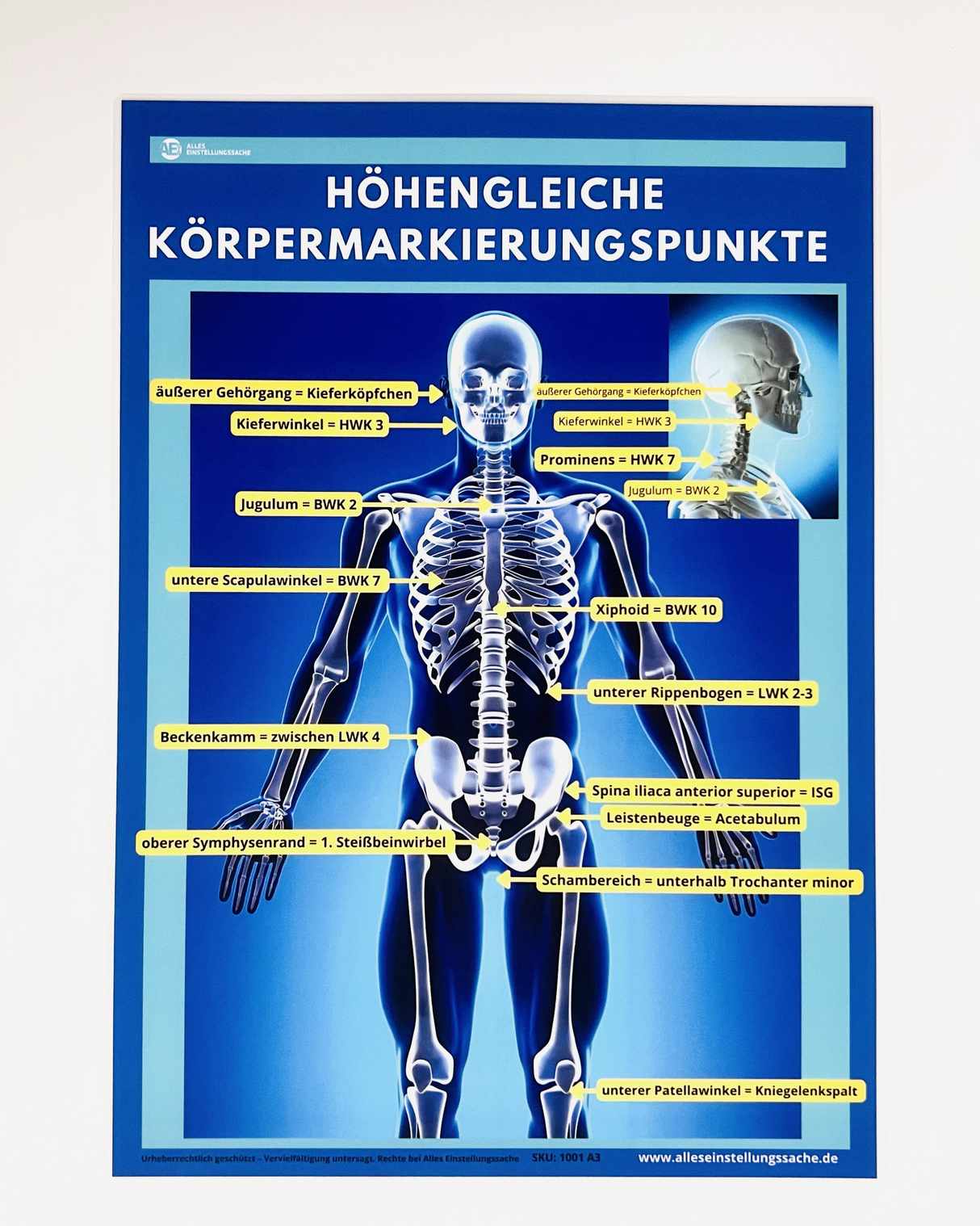 Einstellhelfer I Höhengleiche Körpermarkierungspunkte - Alles Einstellungssache