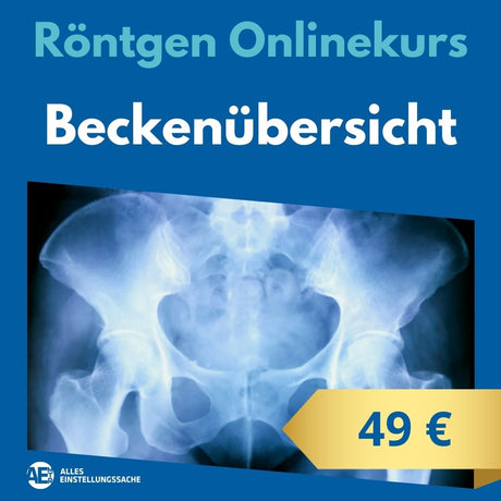 Onlinekurs: Beckenübersicht - Alles Einstellungssache 